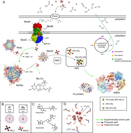 Figure 20