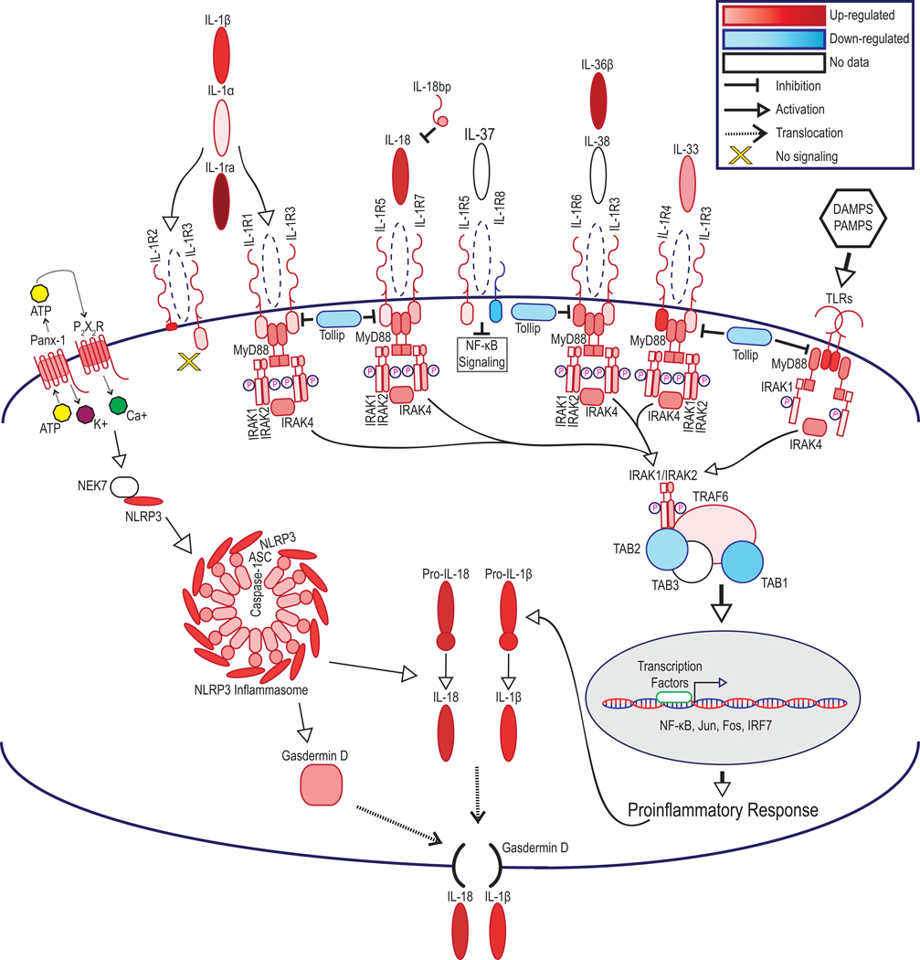 Figure 4.