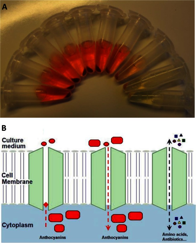 FIG 2