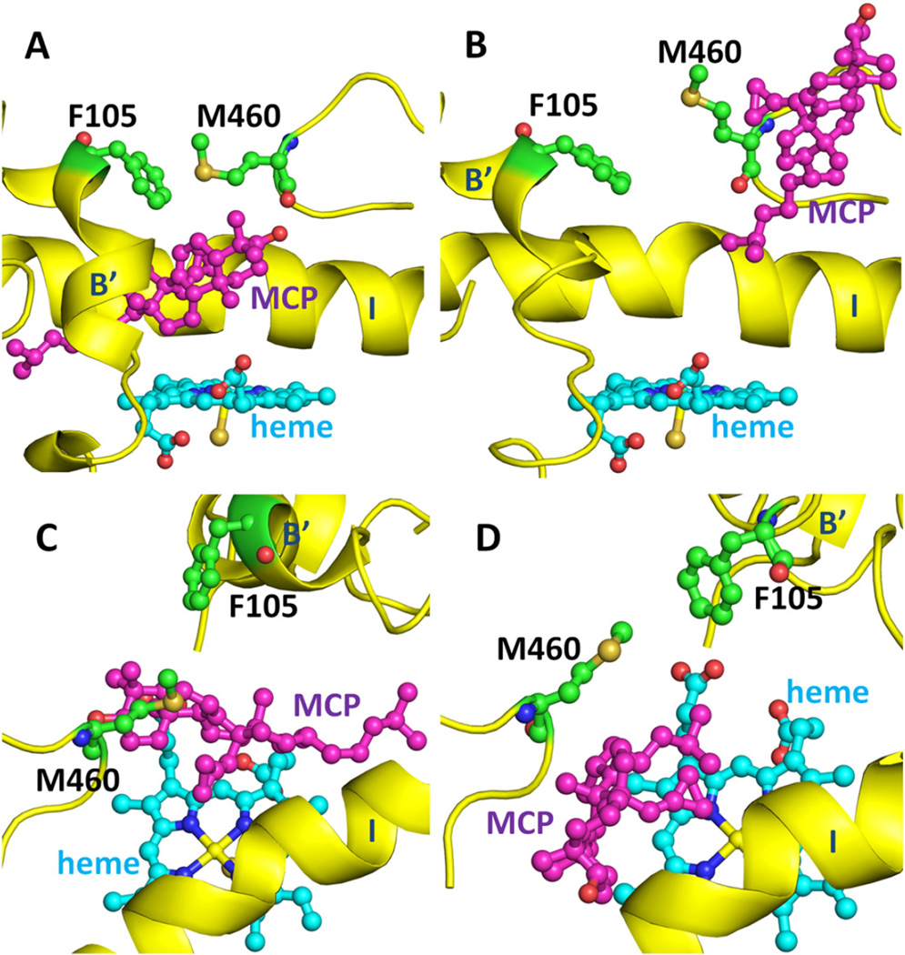 Fig. 12