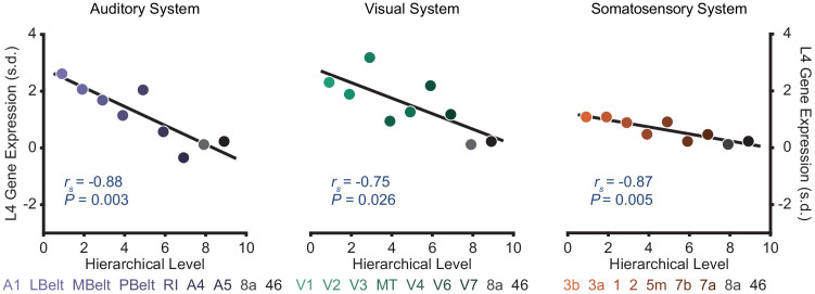 Figure 1—figure supplement 3.