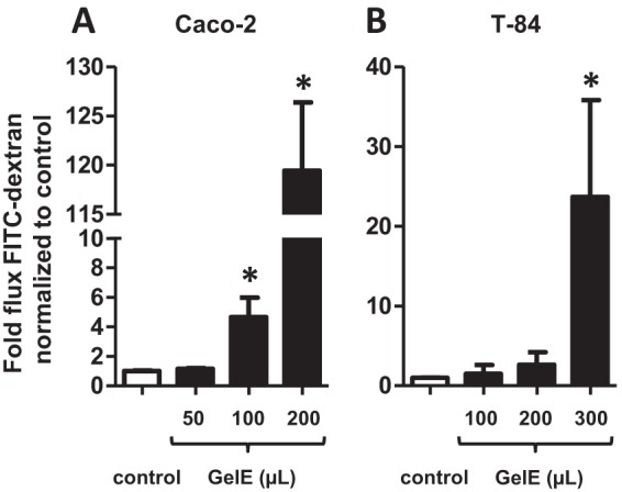 FIG 6