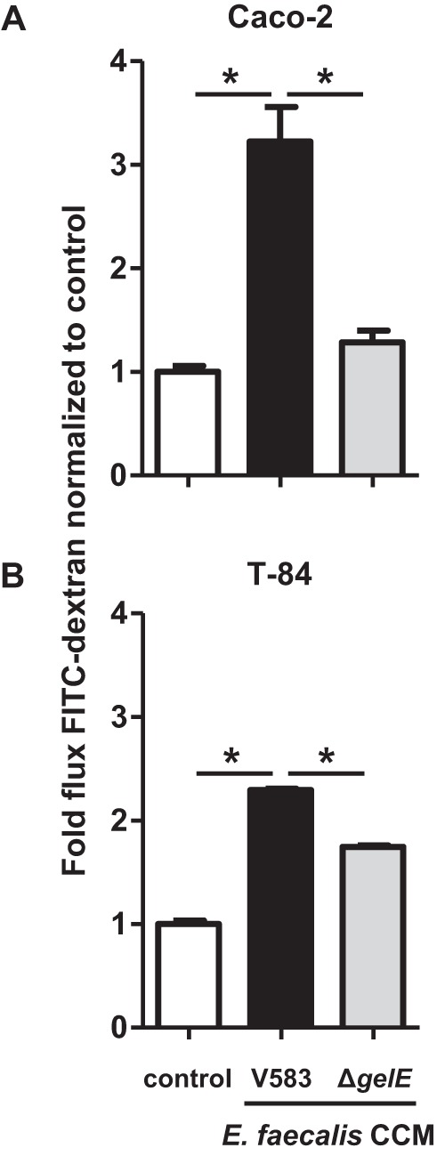 FIG 2