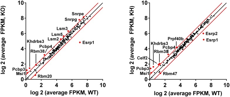 Figure 5—figure supplement 1.