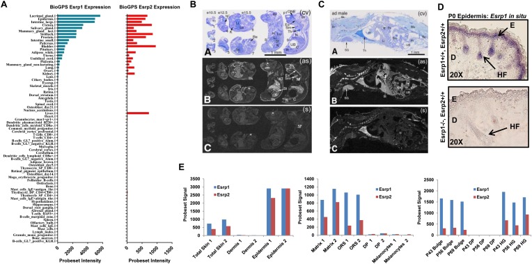 Figure 1—figure supplement 1.