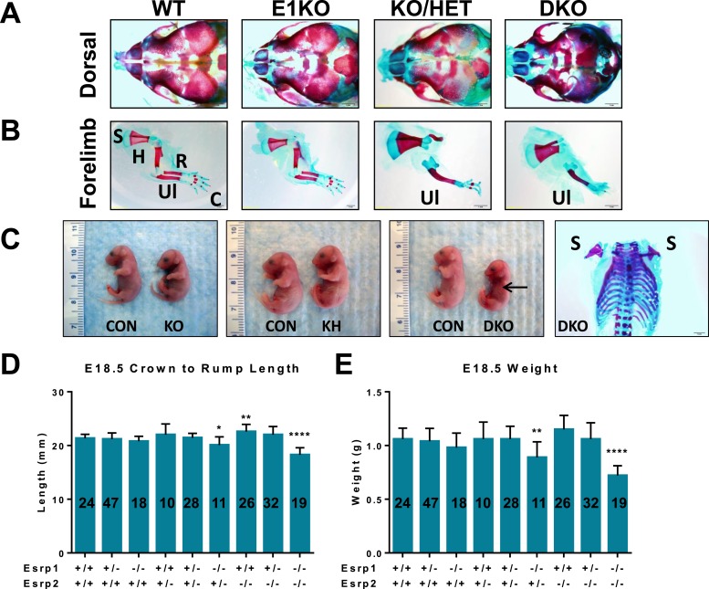 Figure 1—figure supplement 3.