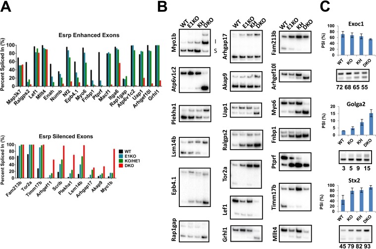 Figure 4—figure supplement 2.