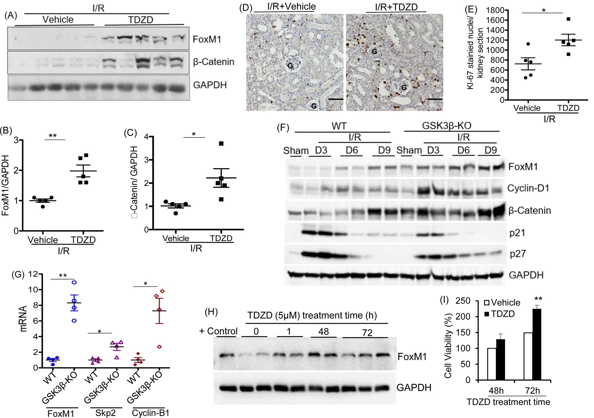 Fig 4: