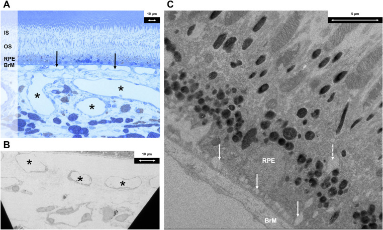 Figure 3.