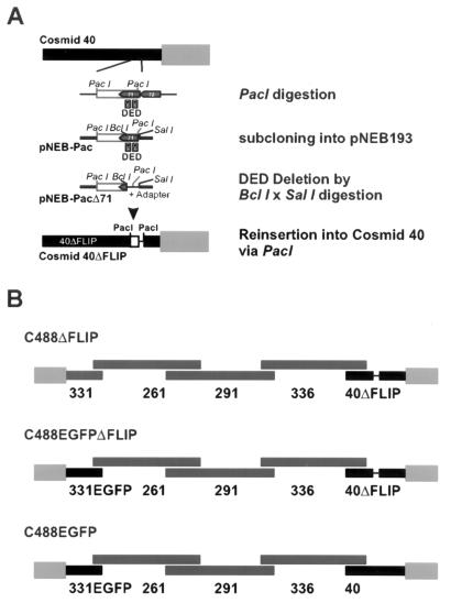 FIG. 1