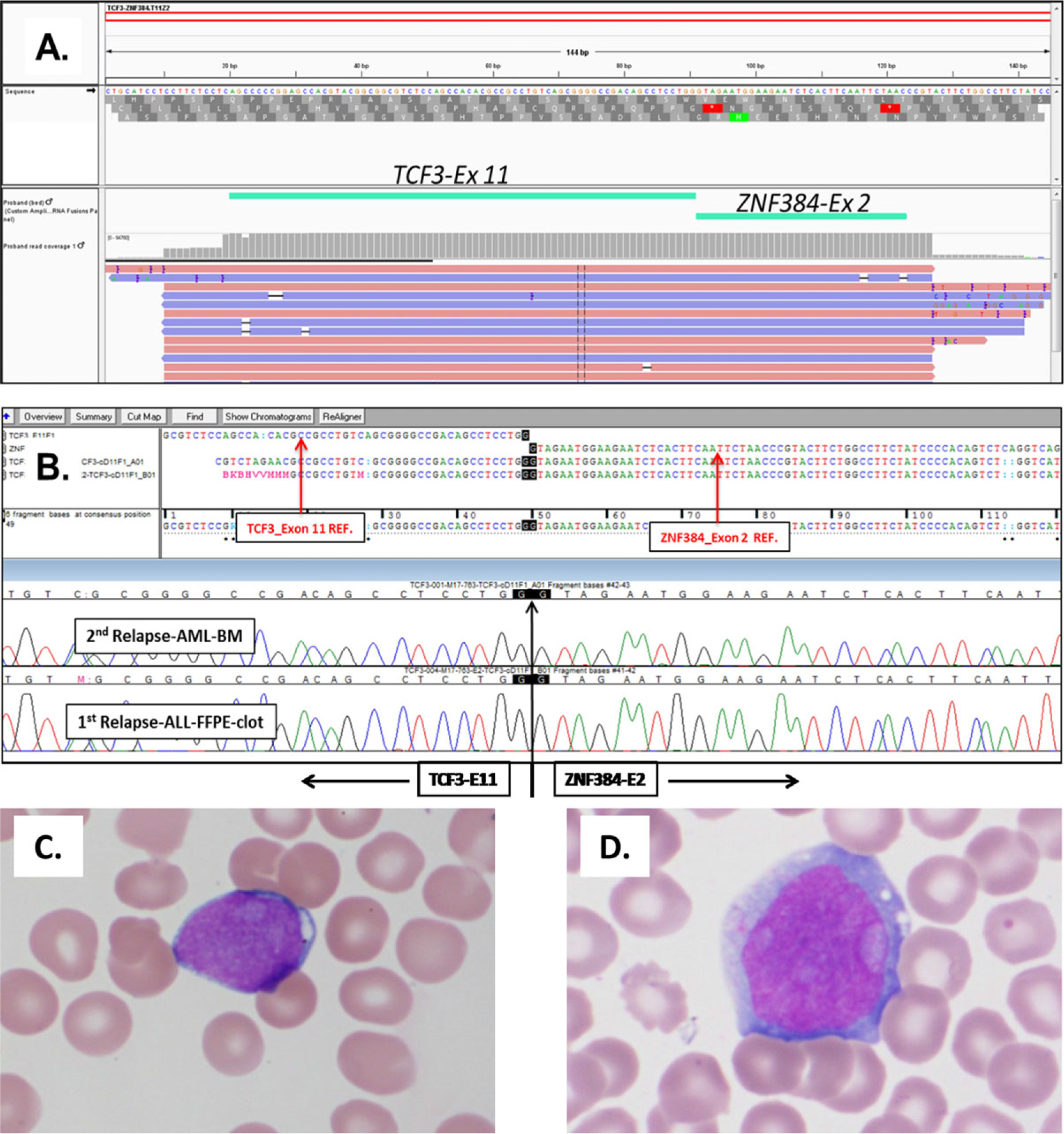 FIGURE 1