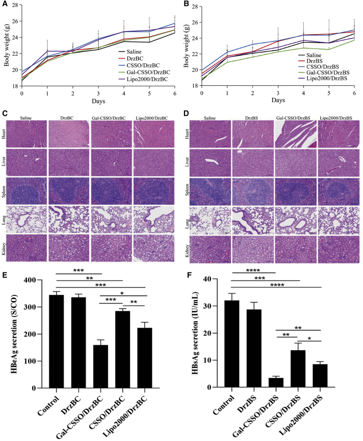 Figure 6