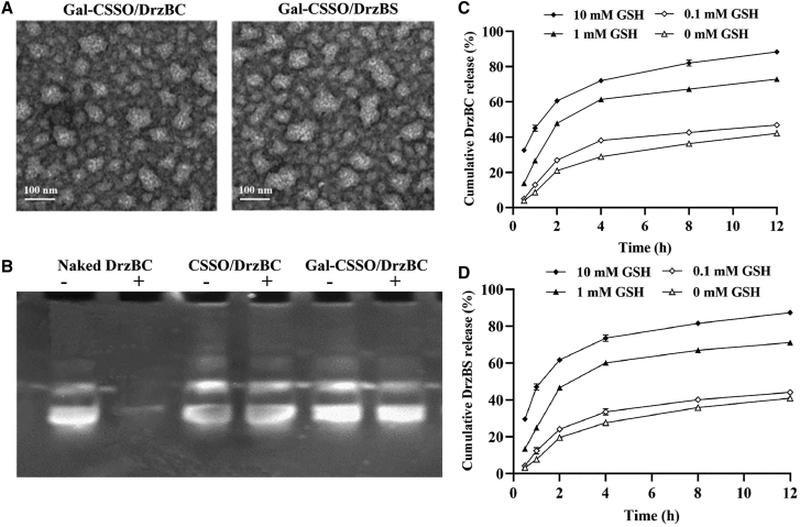 Figure 3