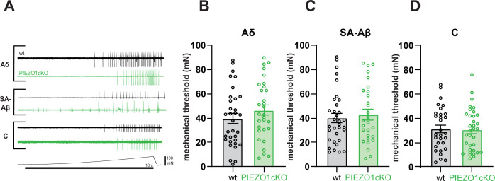 Figure 3—figure supplement 1.