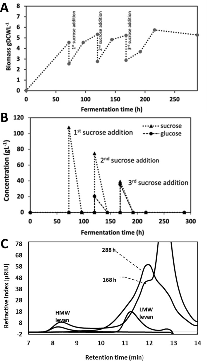 Fig. 3