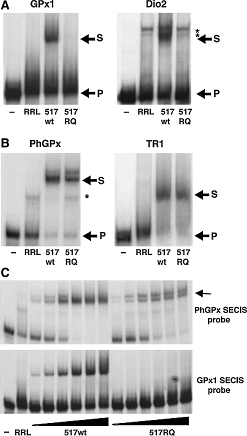 FIG. 7.