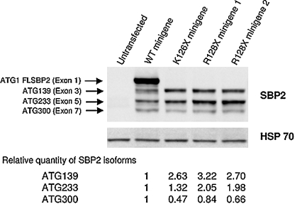 FIG. 8.