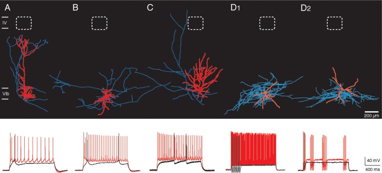 Figure 6.