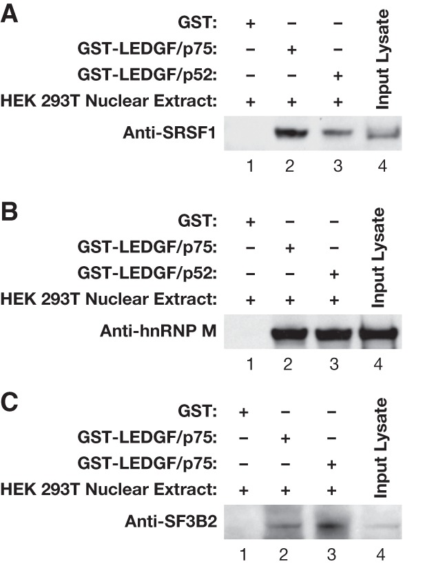 Figure 3.