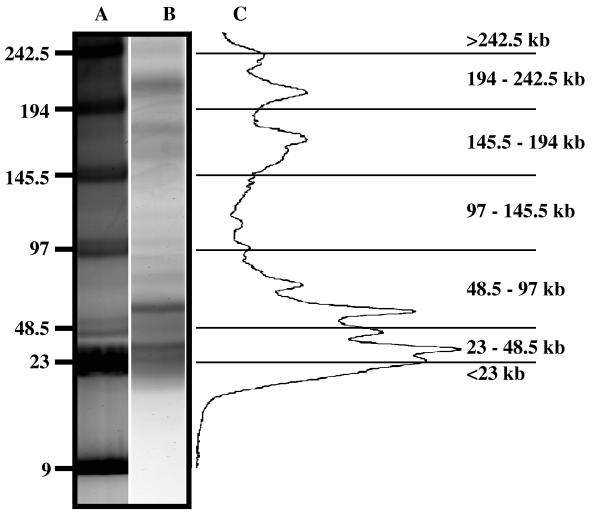 FIG. 1