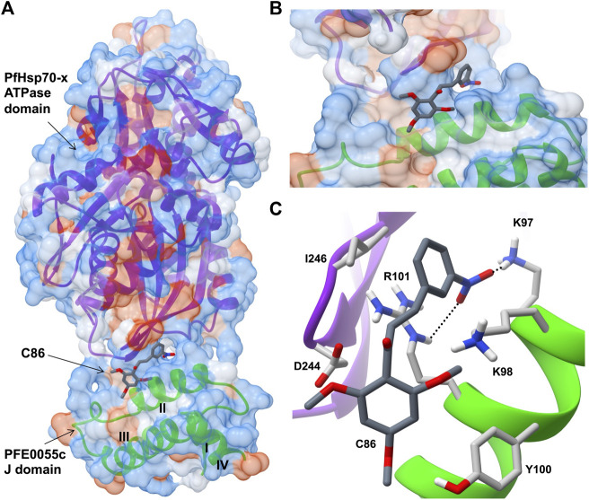 FIGURE 3