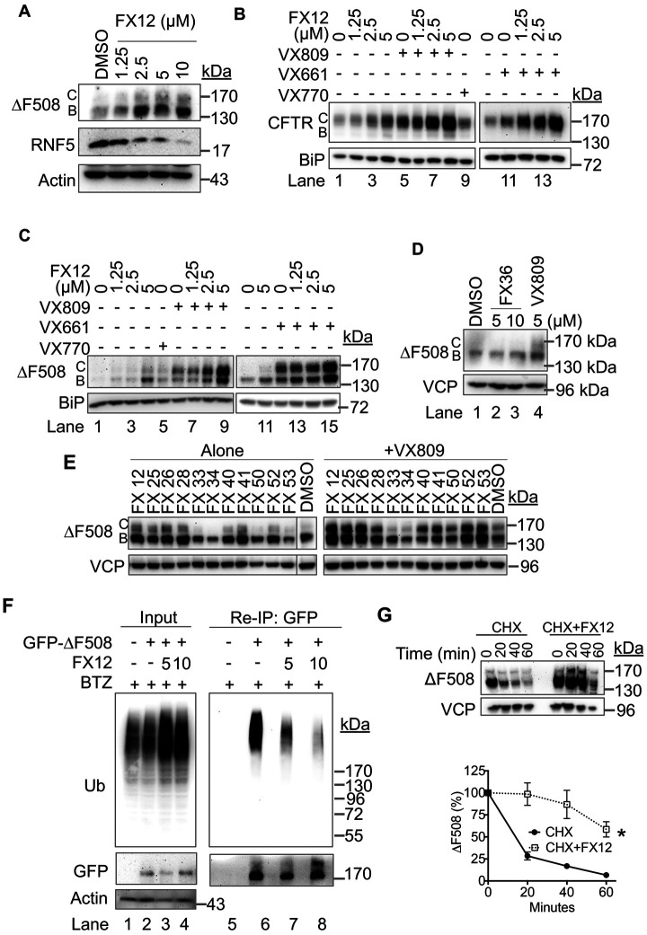 FIGURE 6: