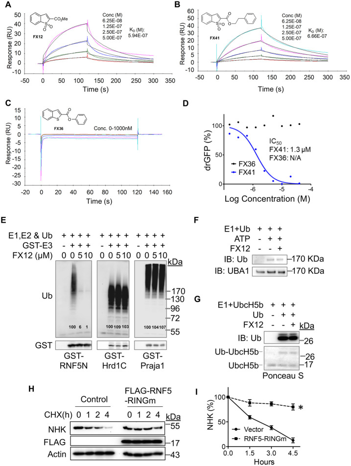 FIGURE 4: