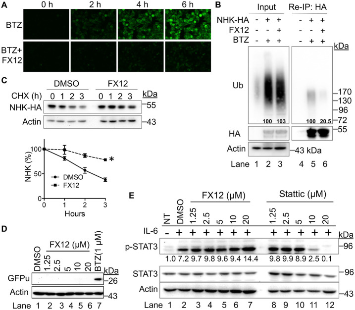 FIGURE 2: