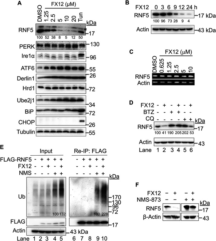 FIGURE 3: