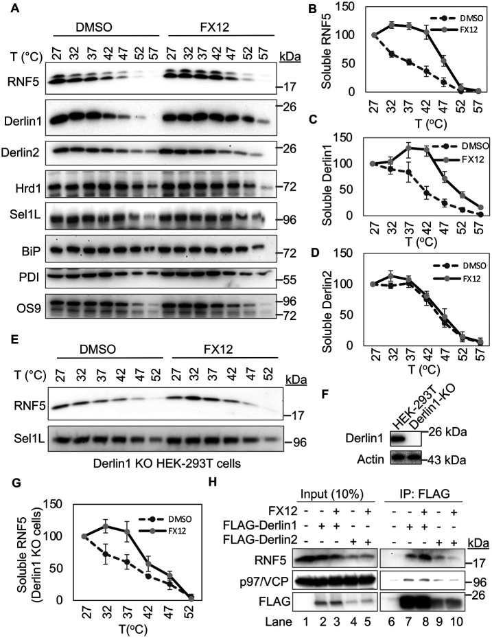 FIGURE 5: