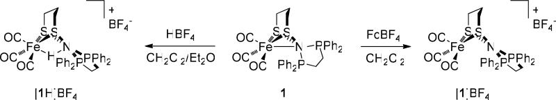 Scheme 3