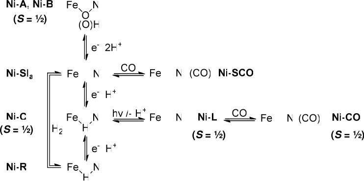 Scheme 1