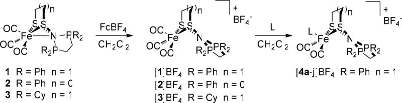 Scheme 4