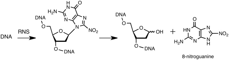 Scheme 1.