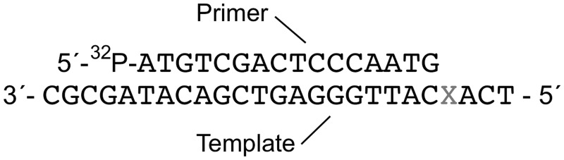 Scheme 3.