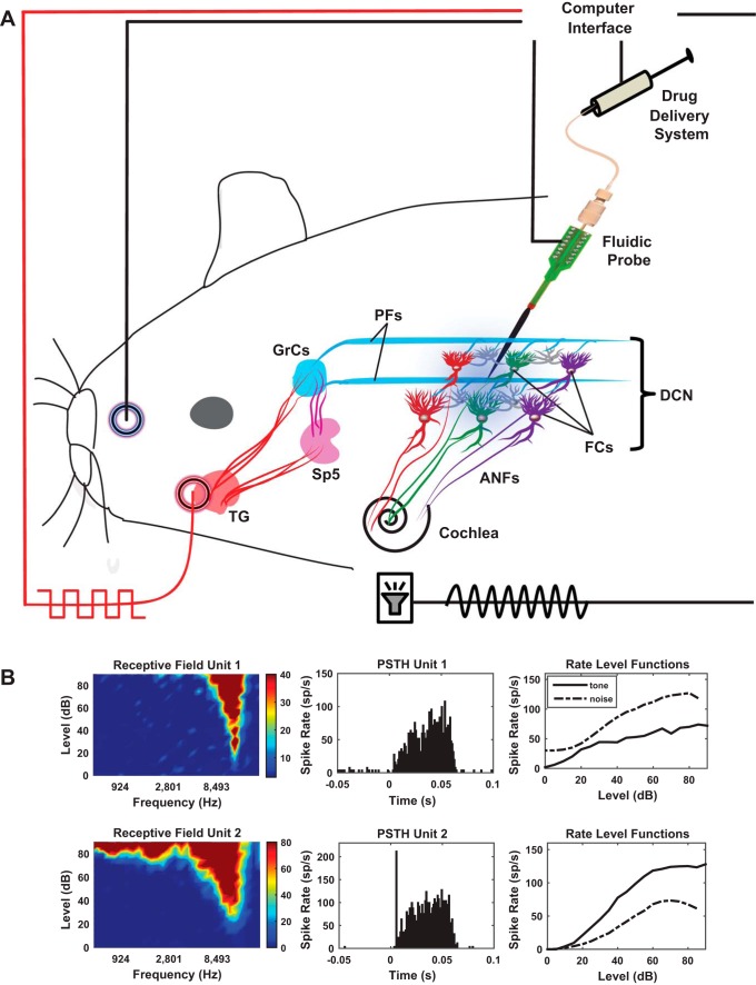 Fig. 1.