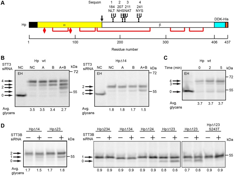 Fig. 4.