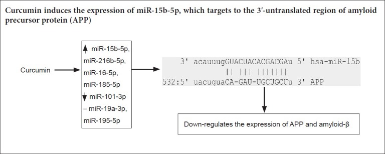 graphic file with name NRR-14-1603-g001.jpg