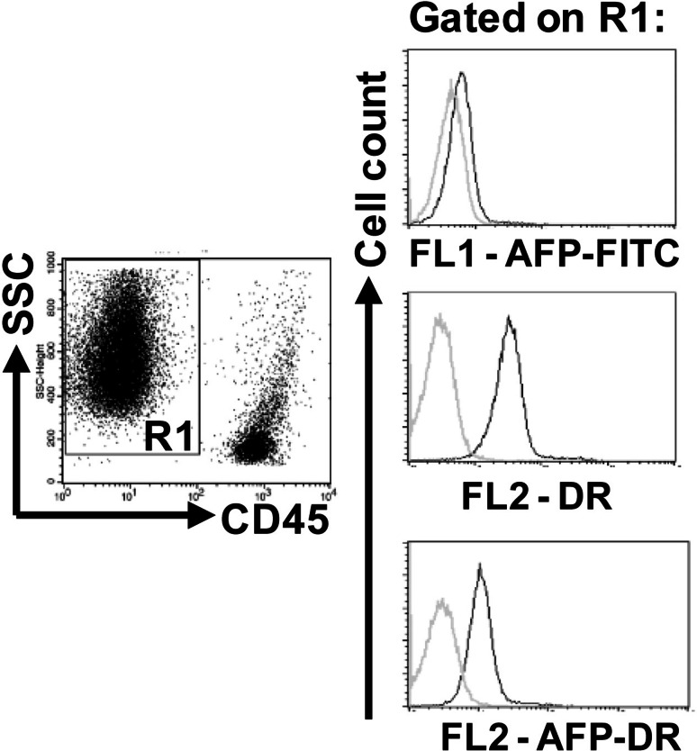 Fig. 3