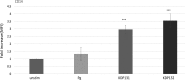 FIG 8
