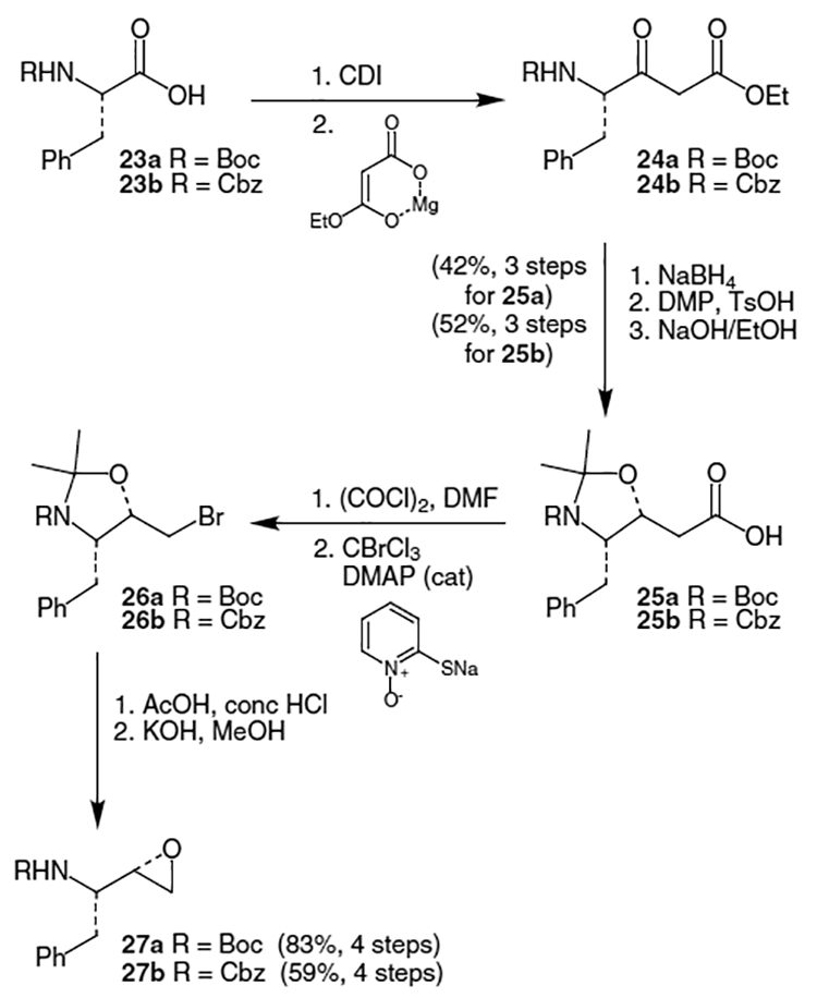 Scheme 5