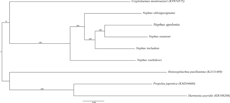 Figure 6.