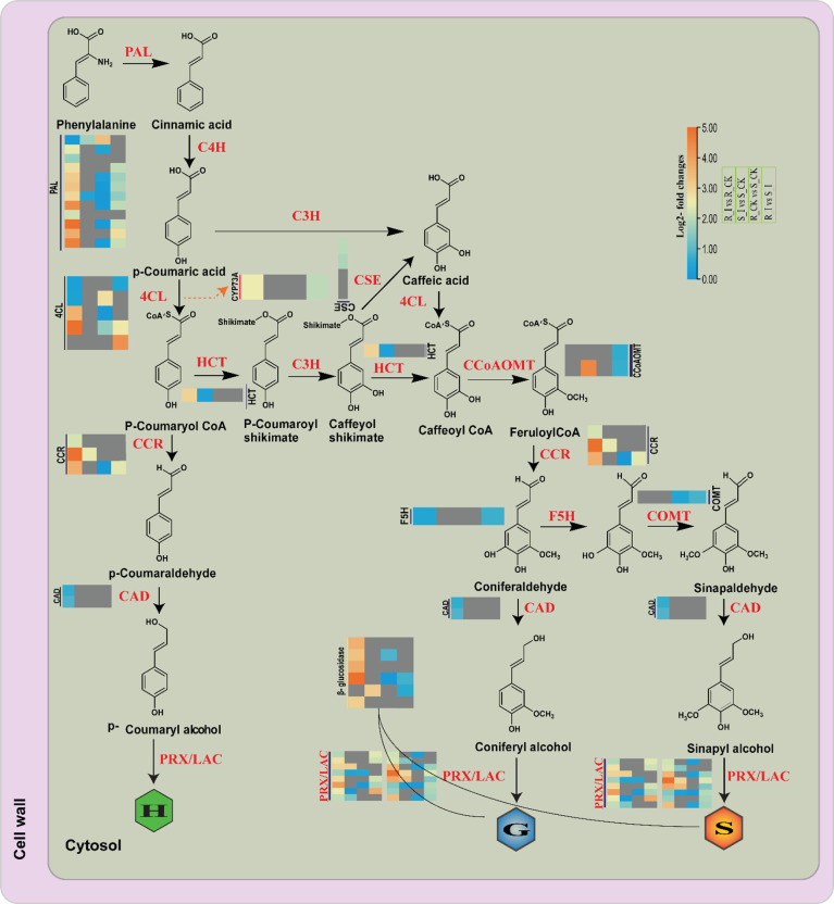 Figure 10