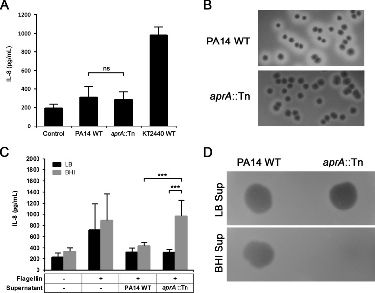 FIG 2