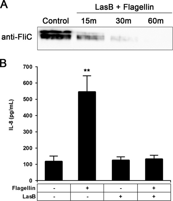 FIG 4