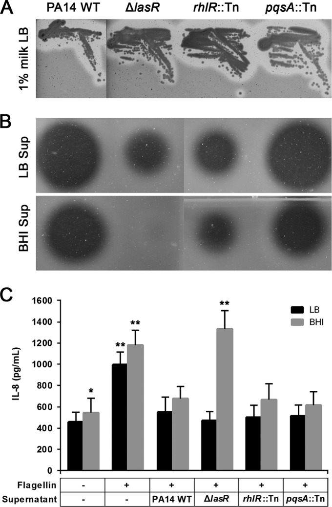 FIG 3