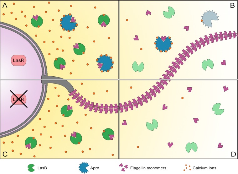 FIG 7