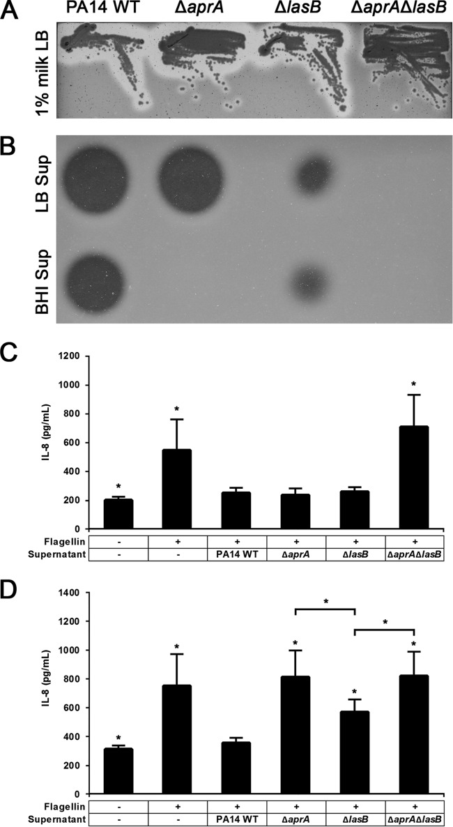 FIG 5