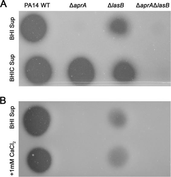 FIG 6