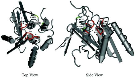 FIG. 6.